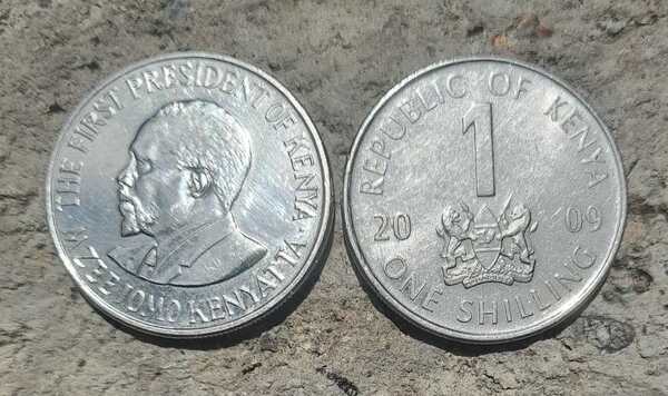 1 shilling coin 2009