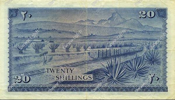 20 Shillings