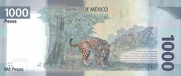 1000 pesos