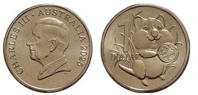 1 dollaro (Adorabile vitello quokka)
