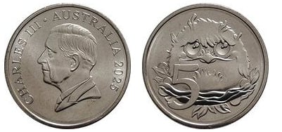 5 centesimi (pulcino di rana fulvo)
