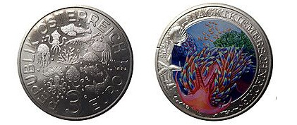 3 euro (Nudibranco Dorididae)