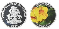 10 dollari (Sambuco giallo)
