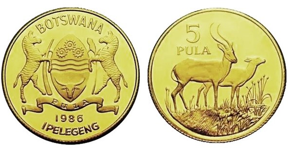 5 pula (Fauna)