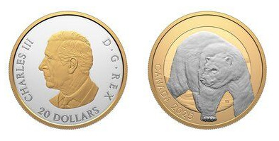 20 dollari (Orso polare)