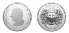 50 dollari (Orso araldico)
