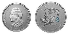 300 dollari (Maple Leaf Forever)