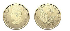 1 dollaro (farfalla monarca)