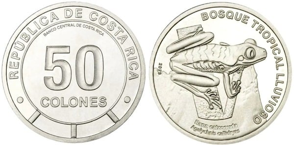 50 colones (Foresta nuvolosa tropicale - Rana arborea dagli occhi rossi)