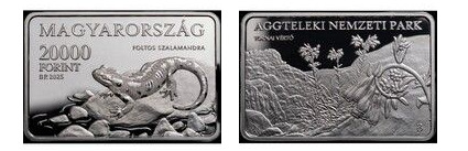 20000 fiorini (Parco nazionale di Aggtelek)