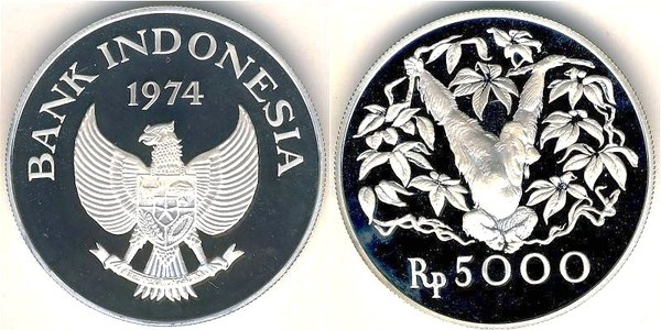 5.000 rupiah (Orangutan)