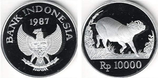 10.000 rupiah (Cinghiale)