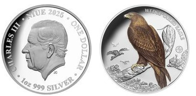 1 dollaro (aquila cuneata)