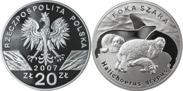 20 zlotych (Animali - Foca grigia)