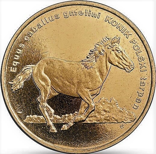 2 zlote (Cavallo polacco Konik)