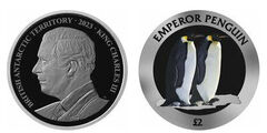 2 libbre (pinguino imperatore)