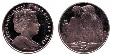 2 libbre (pulcini di pinguino imperatore)