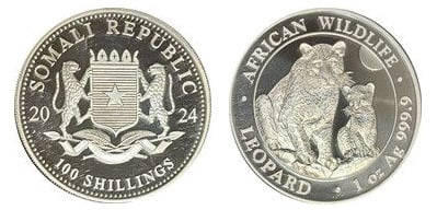 100 scellini (Leopardo)