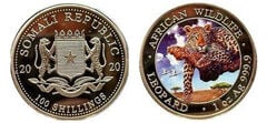 100 scellini (Leopardo)