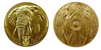 50 rand (I grandi cinque serie II - Elefante africano)