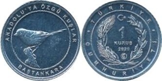 1 kuruş (Cinciallegra blu)