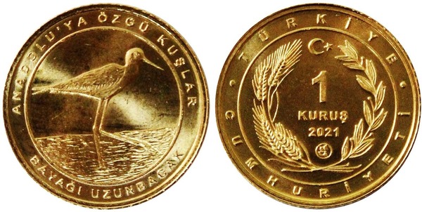 1 kuruş (Cavaliere d'Italia)