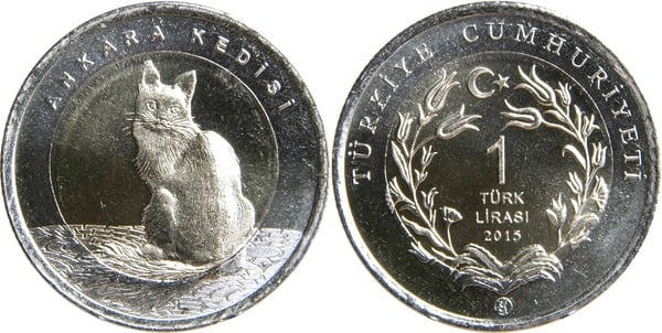 1 lira (gatto d'angora)