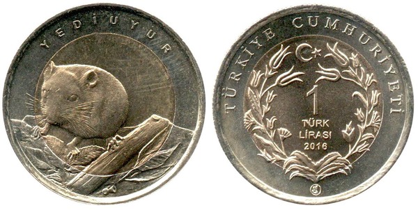 1 lira (ghiro)