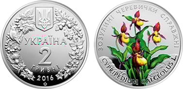 2 hryvni (Orchidea della pantofola della signora - Cypripedium calceolus)