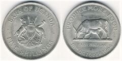 5 scellini (FAO)