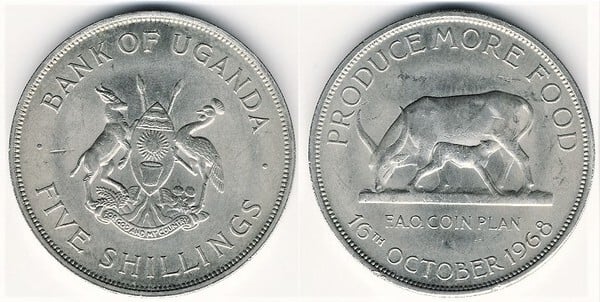 5 scellini (FAO)