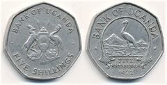 5 scellini