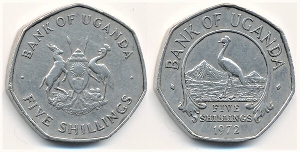 5 scellini