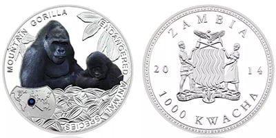 1000 kwacha (Animali in pericolo: gorilla di montagna)